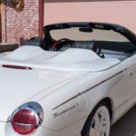 02-05 TBird Stainless Steel Side accent trim 8 piece