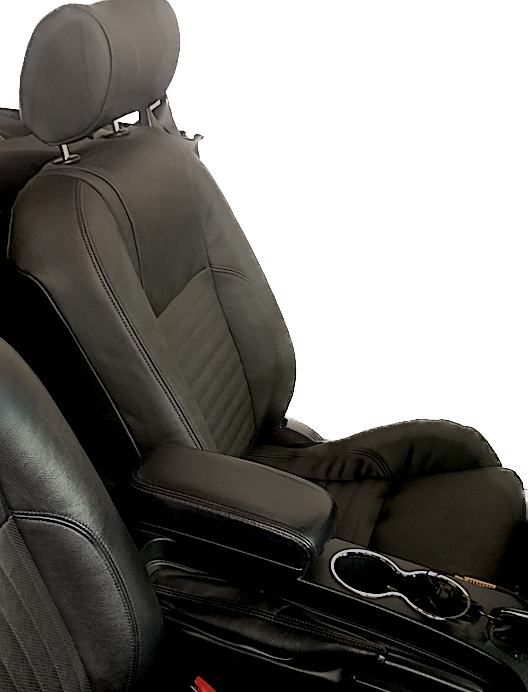 https://www.thunderbirdspecialties.com/wp-content/uploads/2019/08/2002-2005-TBird-Leather-Seat-Cover.png