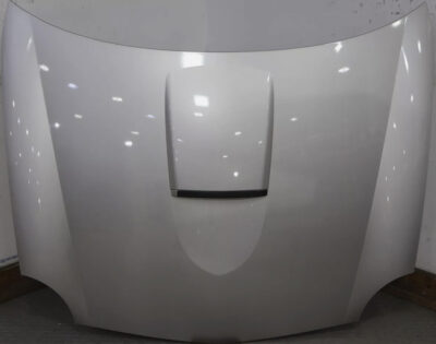 02-05 Thunderbird Hood