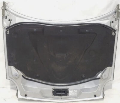 02-05 Thunderbird Hood Underside