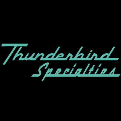 Ford 'Blue Oval' Neon Sign - New Item! - Thunderbird Specialties